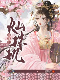 灿珠玑txt百度网盘